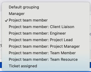 The grouping options: Manager, Project team member by role, and Ticket assigned