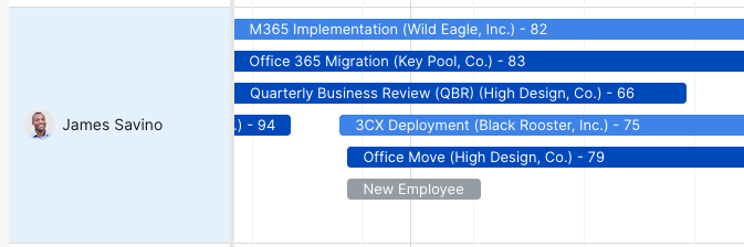 A member's row in the planner listing the projects associated with them as bars